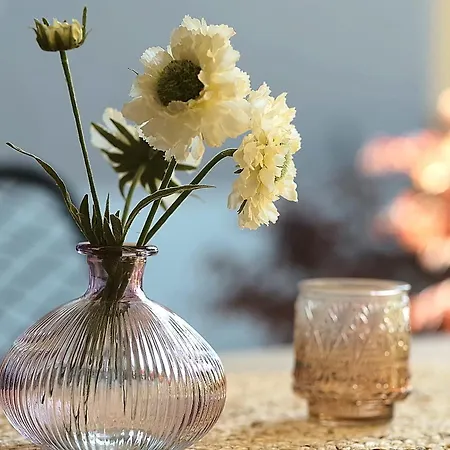 Haus Silberberg Haslach im Kinzigtal